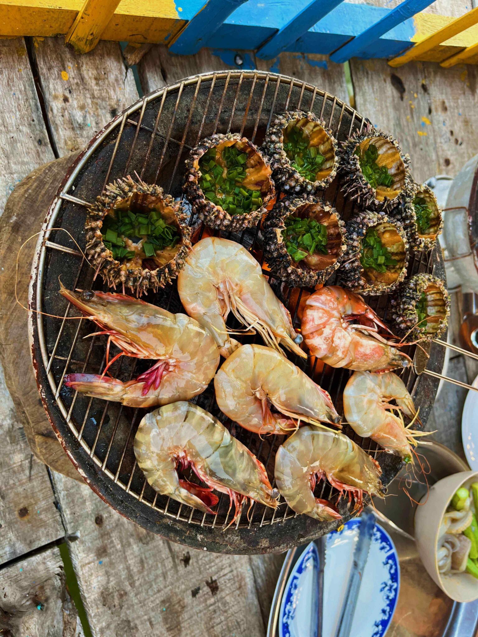 mantis shrimps and sea urchins
