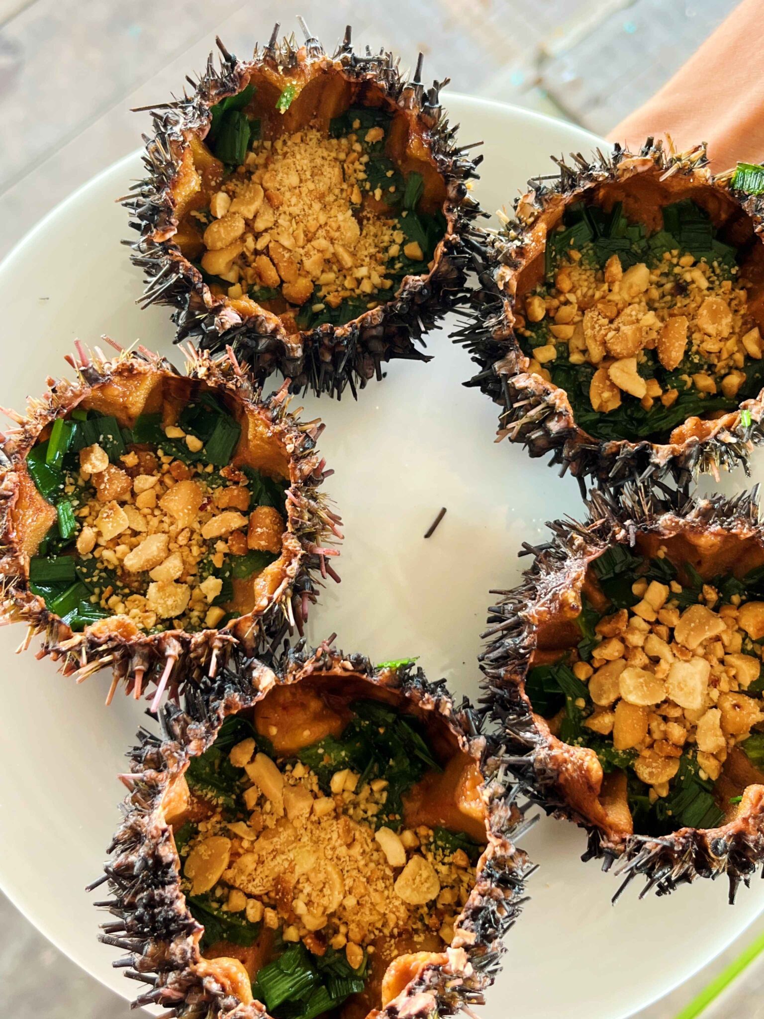 five sea urchins
