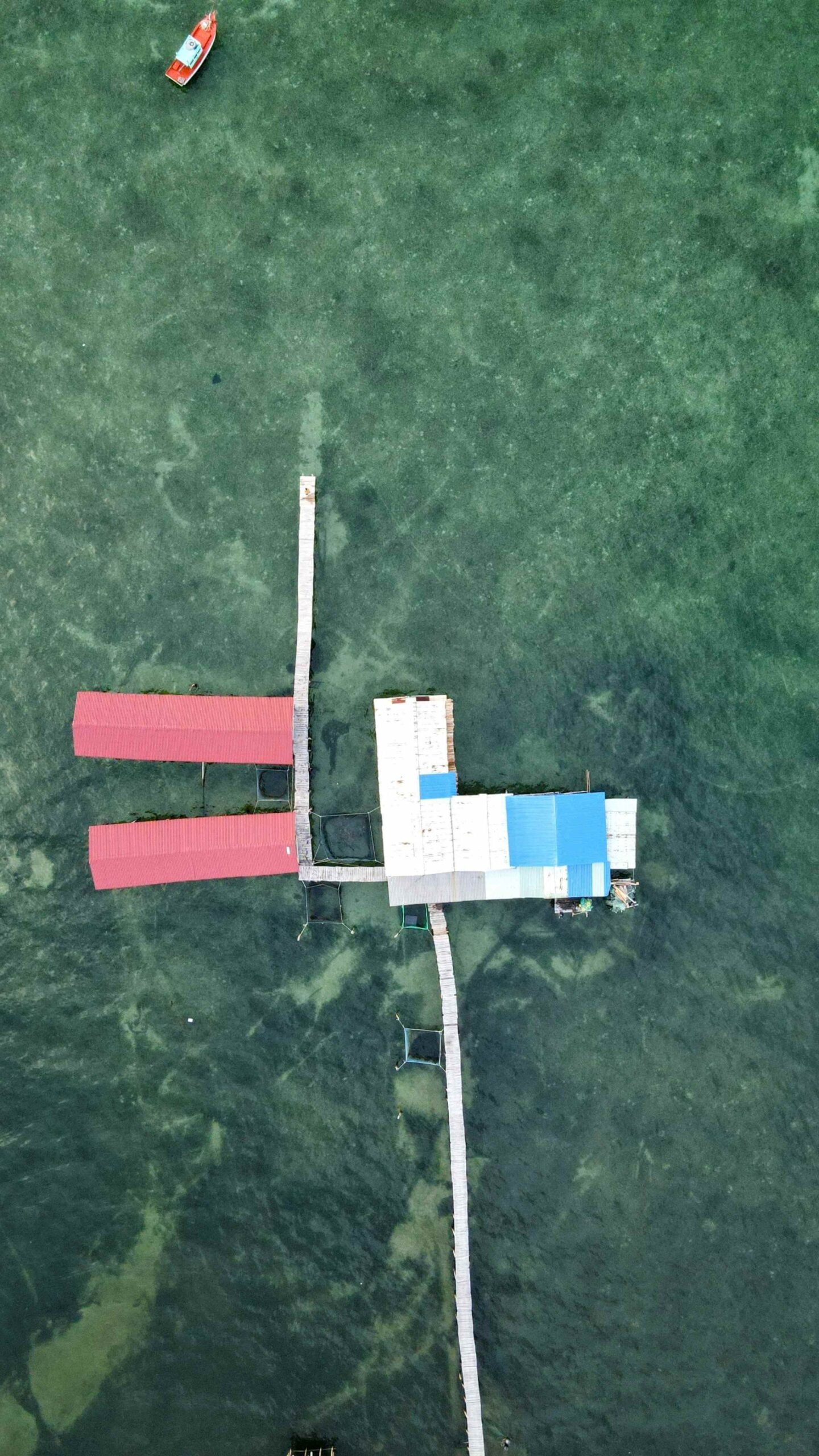 A floating restaurant in the middle of a green ocean