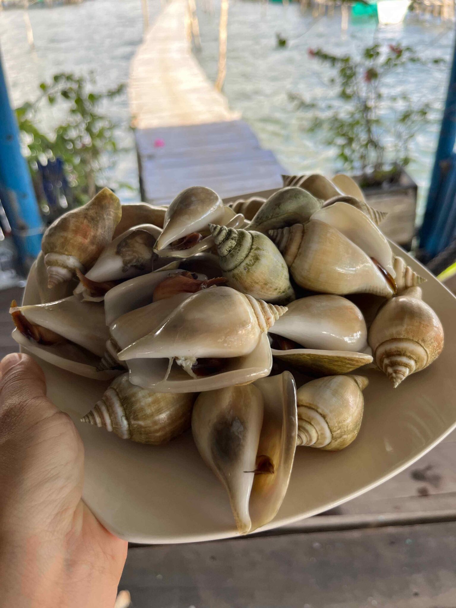 a plate of snails