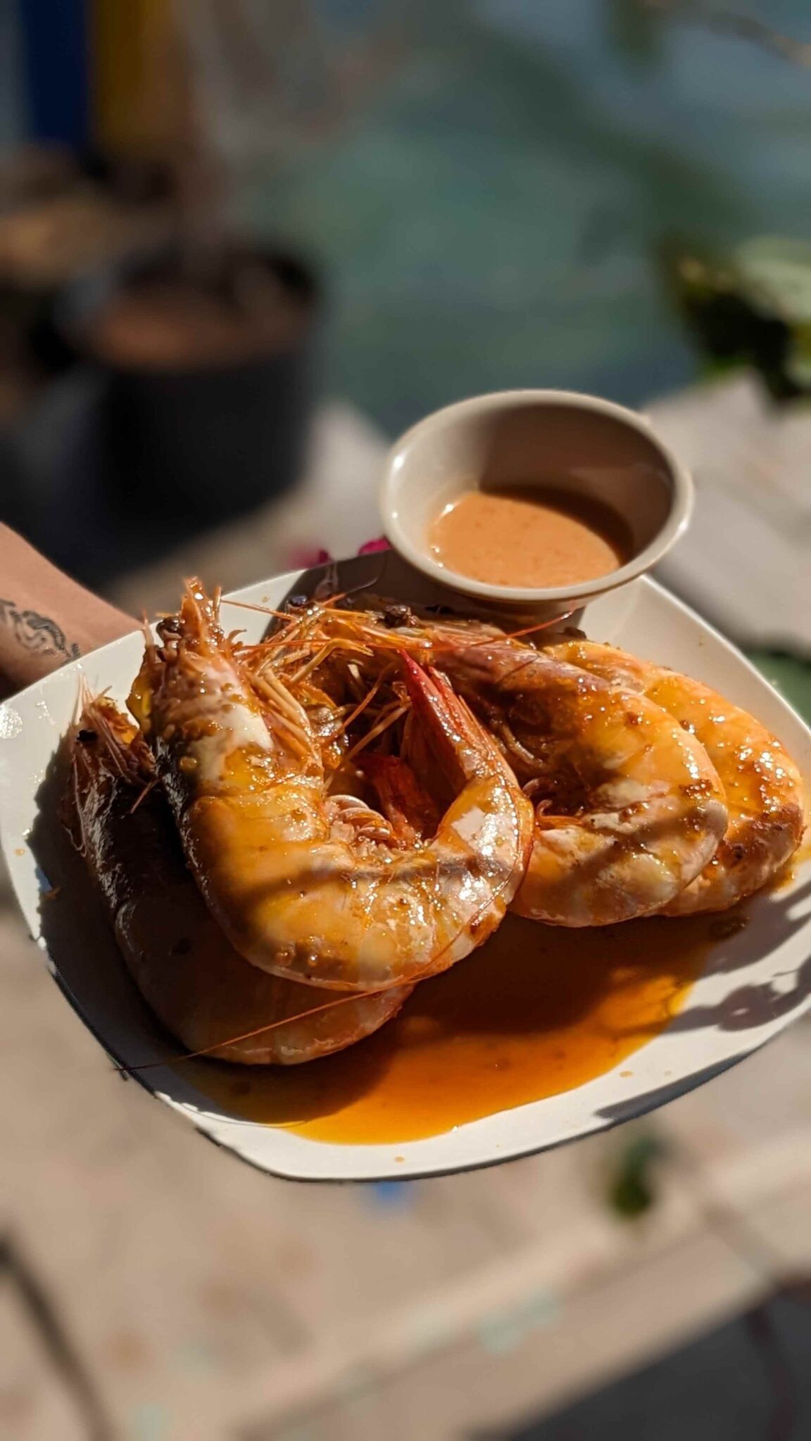 a plate of mantis shrimps