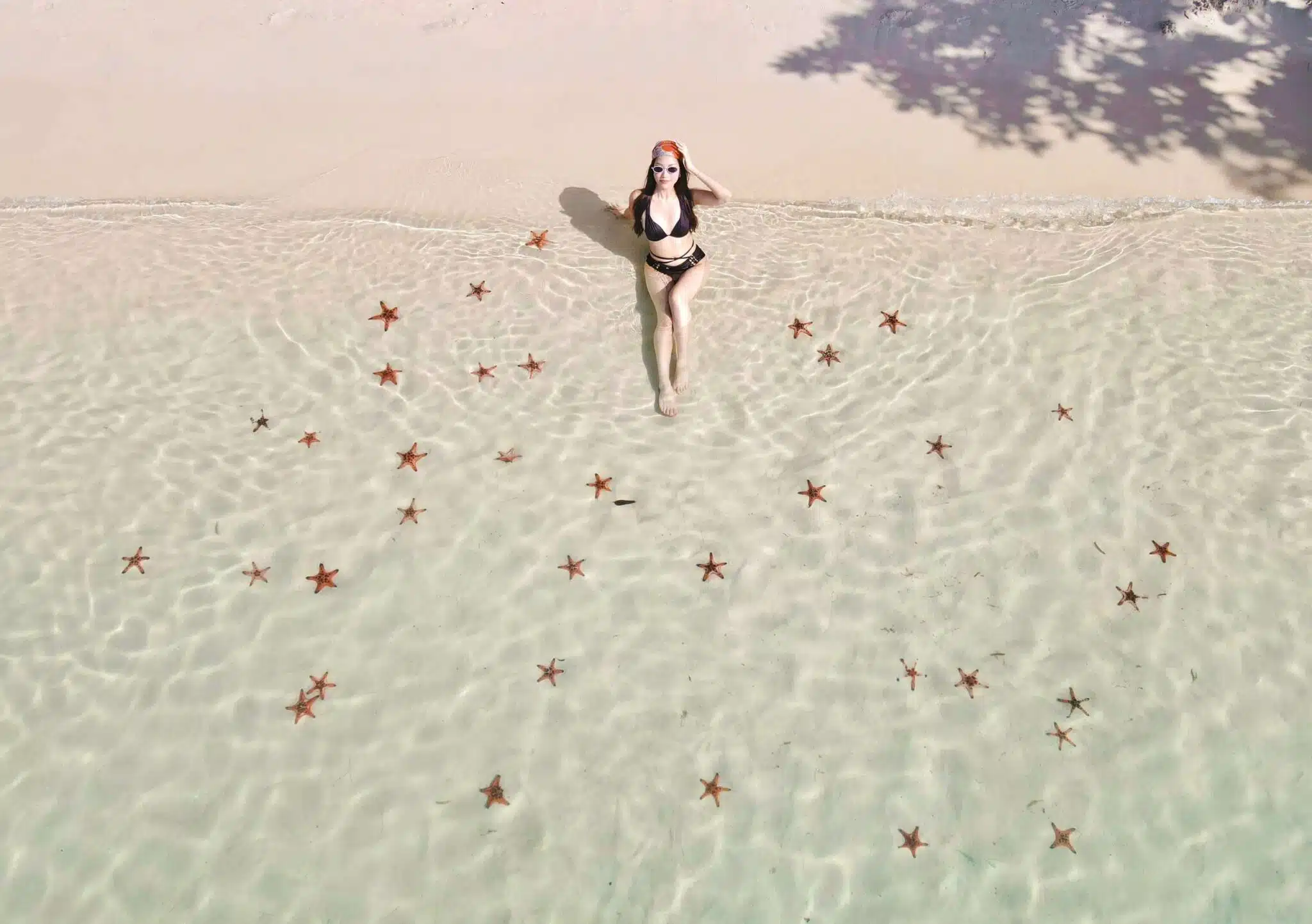IMG_20250302_093420 Starfish Beach Phu Quoc with red starfish in clear water
