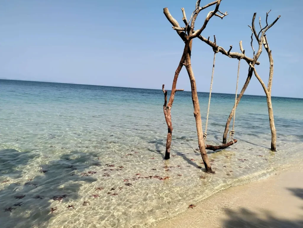 A lone swing on starfish beach, phu quoc